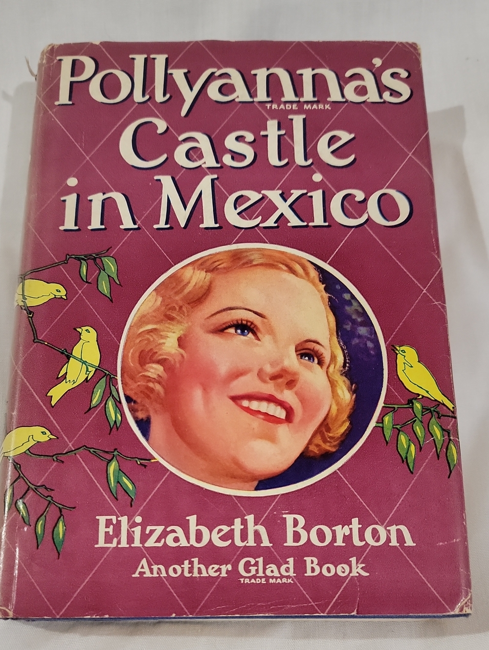 Vintage 1934 Pollyanna's Castle in Mexico by Elizabeth Borton Hardcover